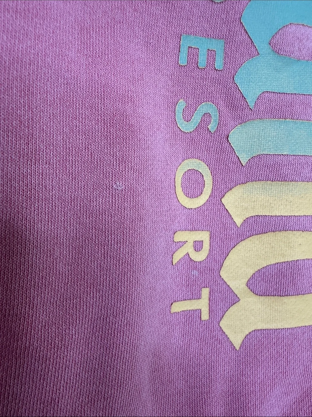 Disney Disneyland Resort Pink Crewneck Sweatshirt with Rainbow Vertical Logo